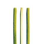 tagliolini paglia e fieno